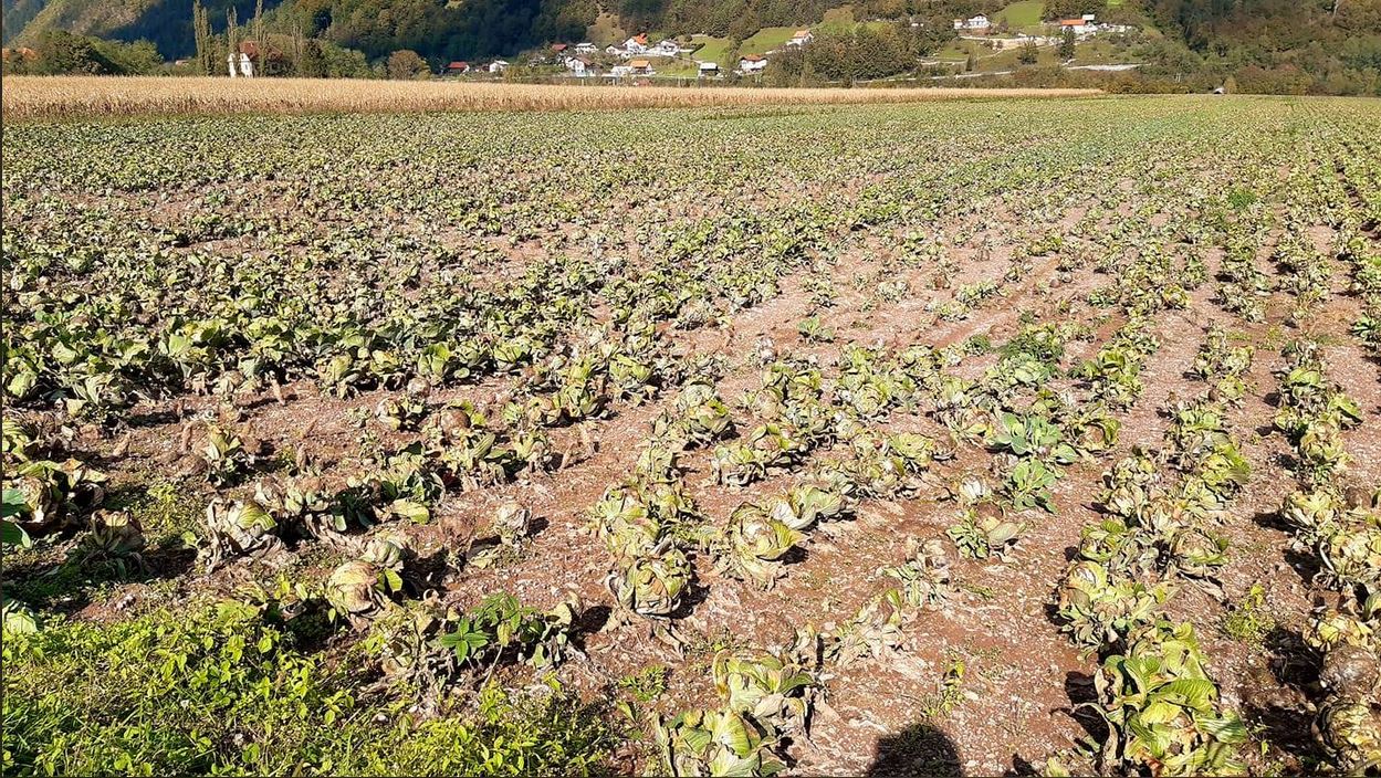 Foto: Milorad Nunić