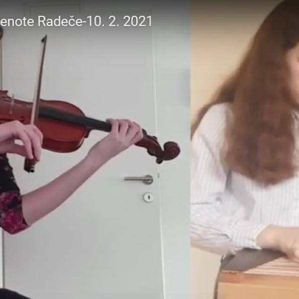 violina_citre.JPG