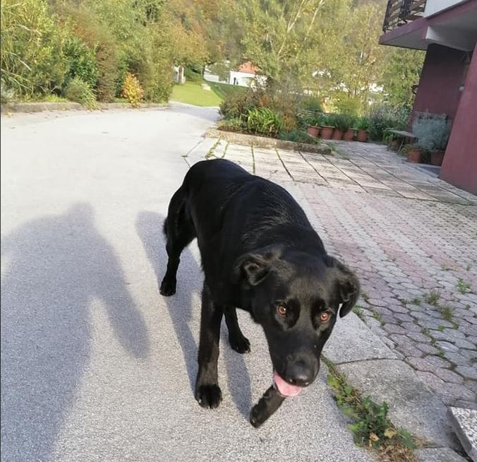 Foto: Noel Novak Žibret